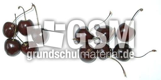 Kirschen5+6.jpg